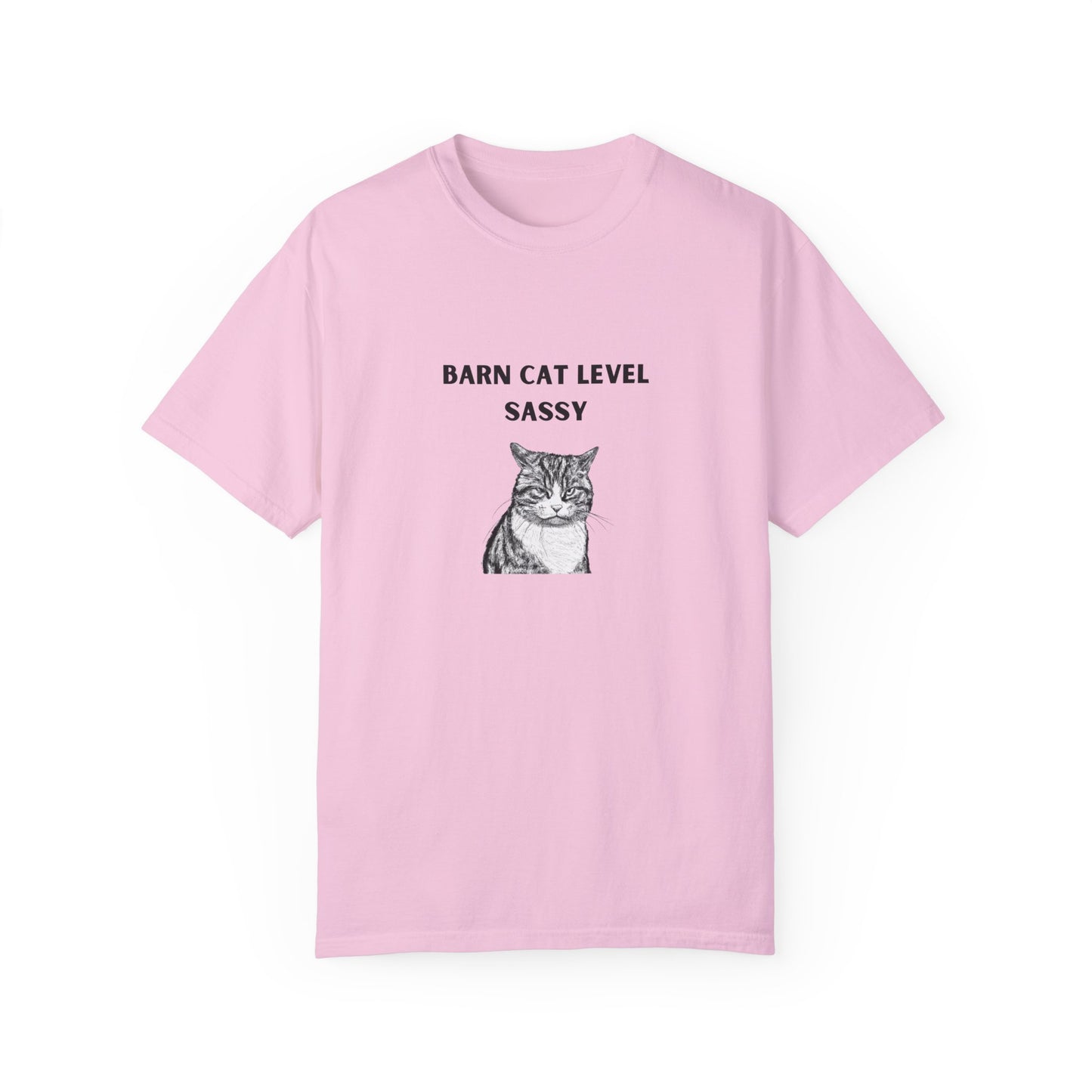 Barn Cat Level Sassy - Unisex Garment-Dyed T-shirt