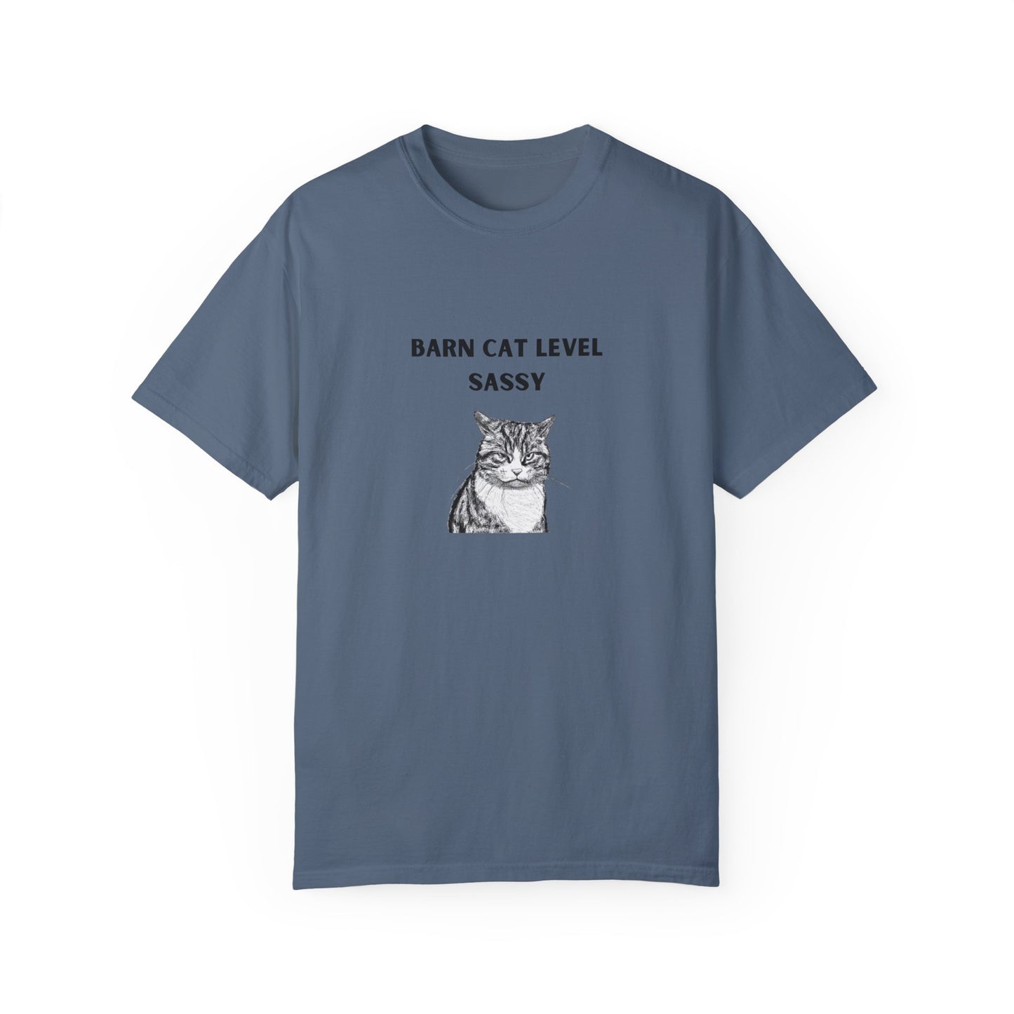 Barn Cat Level Sassy - Unisex Garment-Dyed T-shirt