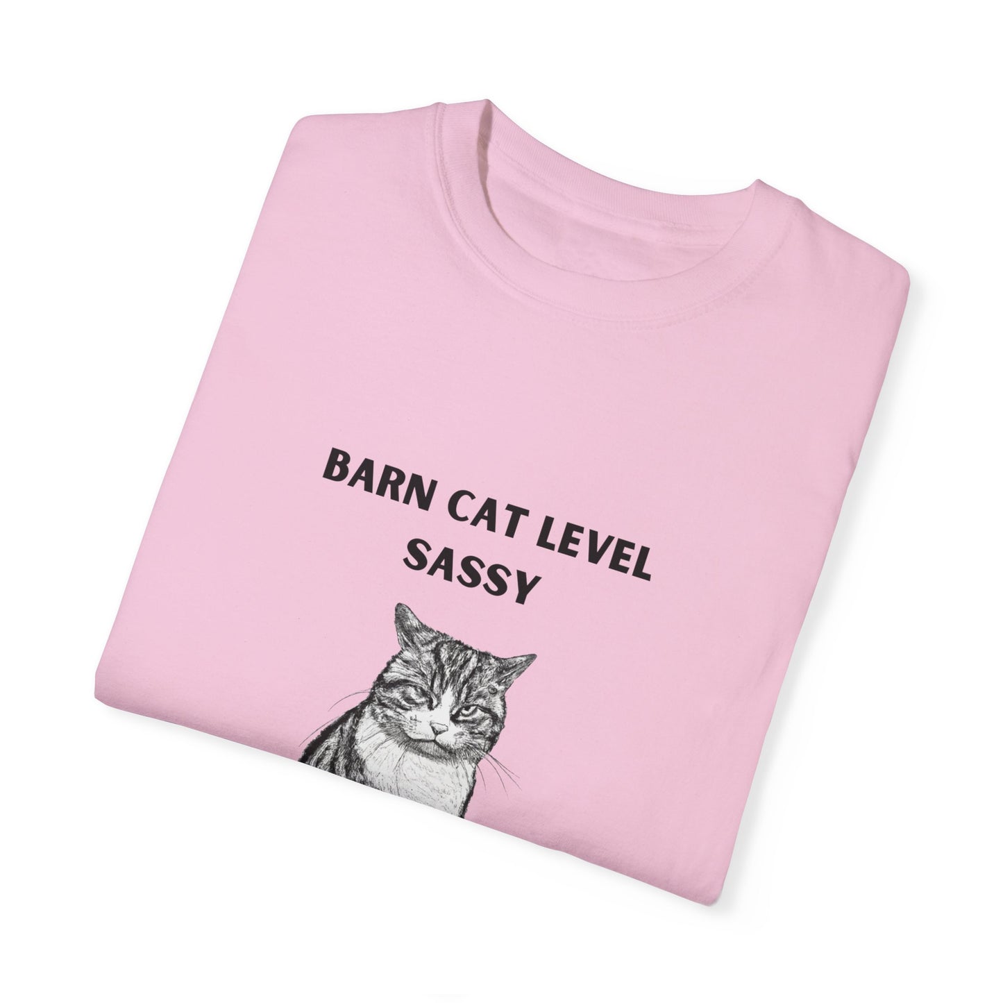 Barn Cat Level Sassy - Unisex Garment-Dyed T-shirt