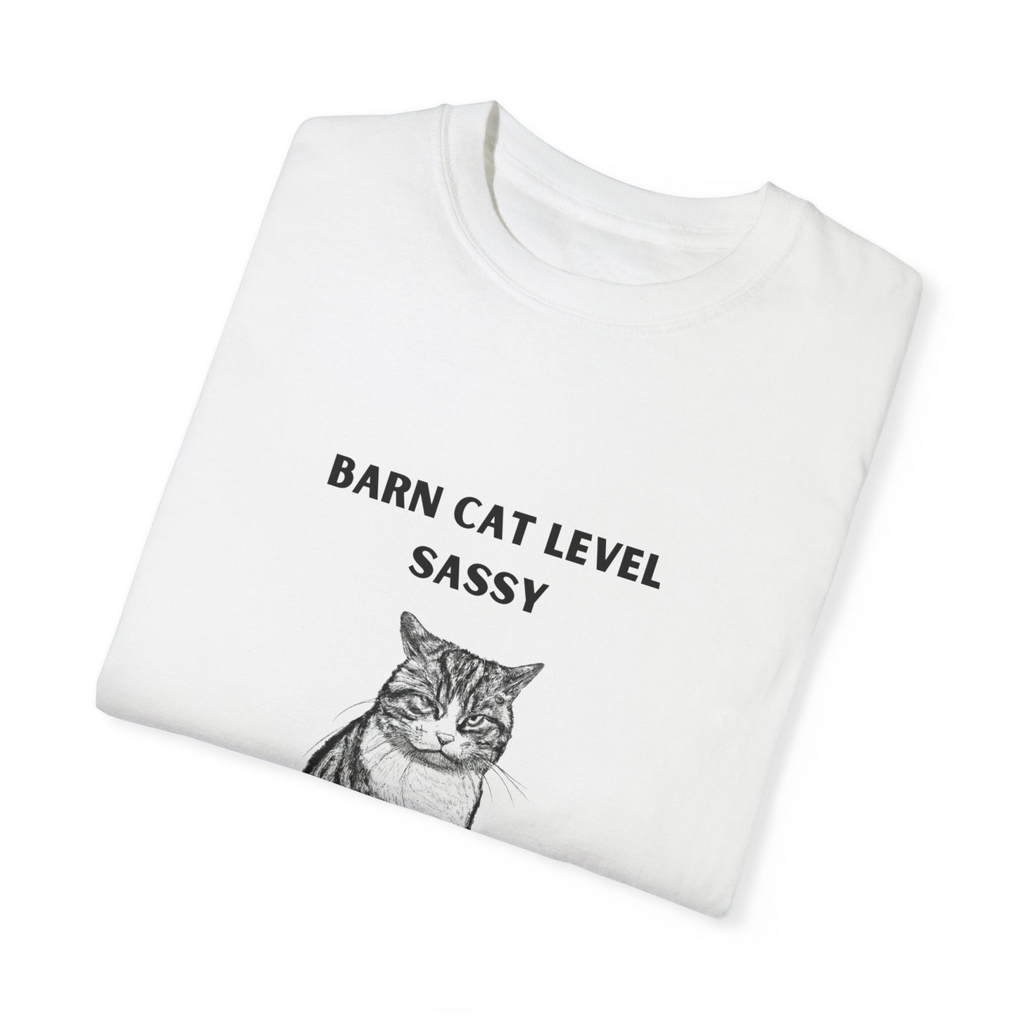 Barn Cat Level Sassy - Unisex Garment-Dyed T-shirt