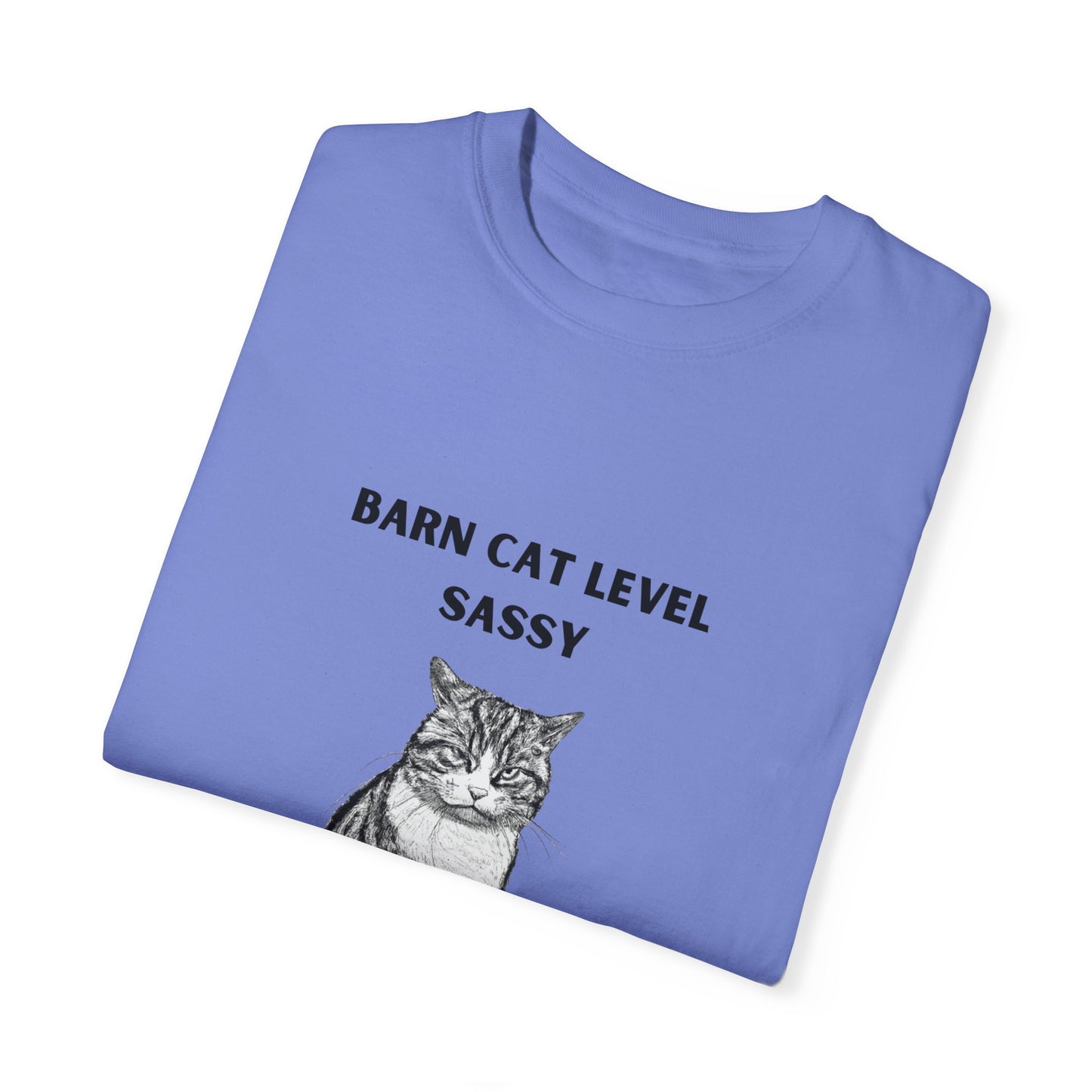 Barn Cat Level Sassy - Unisex Garment-Dyed T-shirt