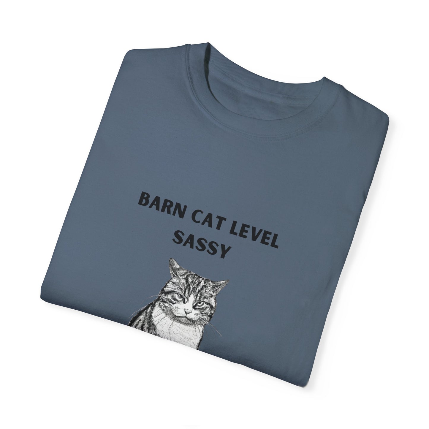 Barn Cat Level Sassy - Unisex Garment-Dyed T-shirt