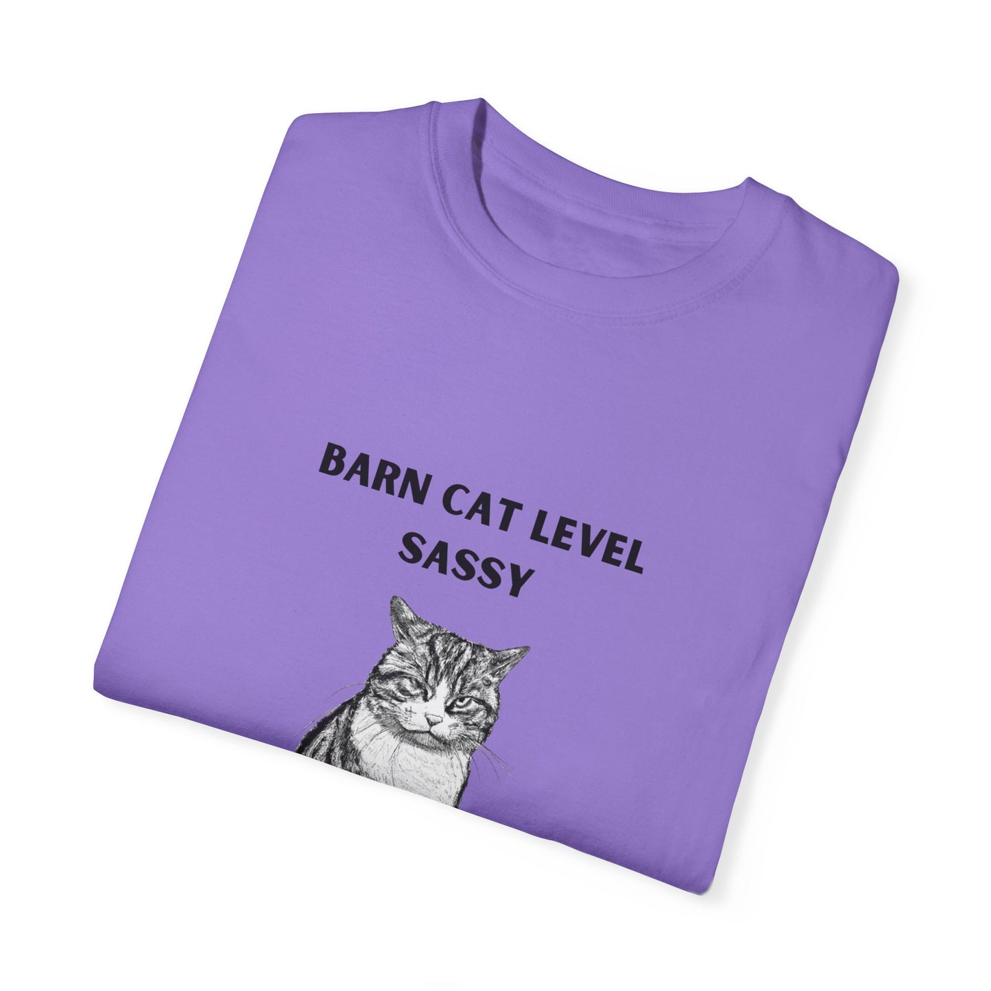 Barn Cat Level Sassy - Unisex Garment-Dyed T-shirt